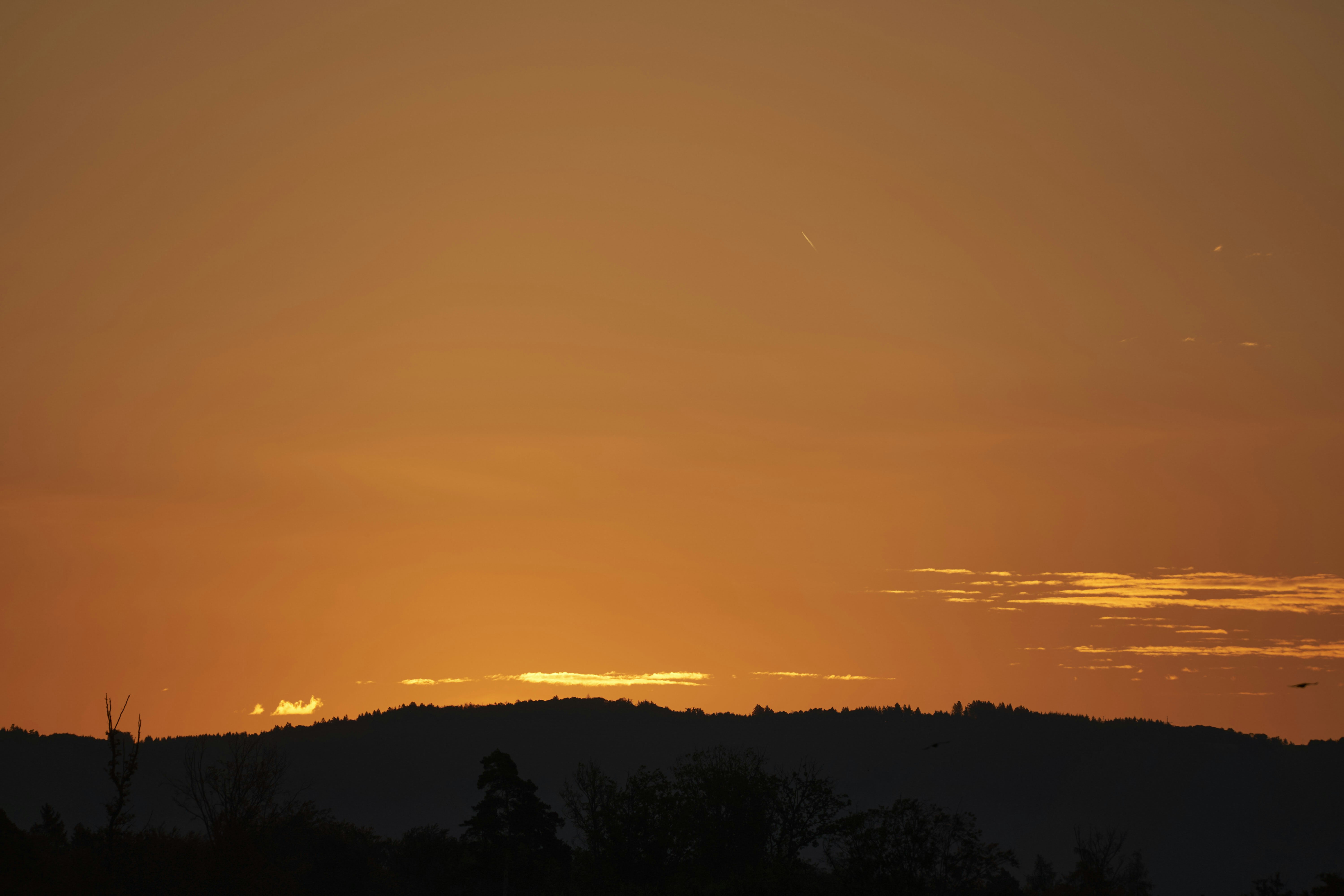 Photo by wolfgang_hasselmann