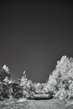 a black and white photo of a dirt road