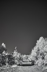a black and white photo of a dirt road