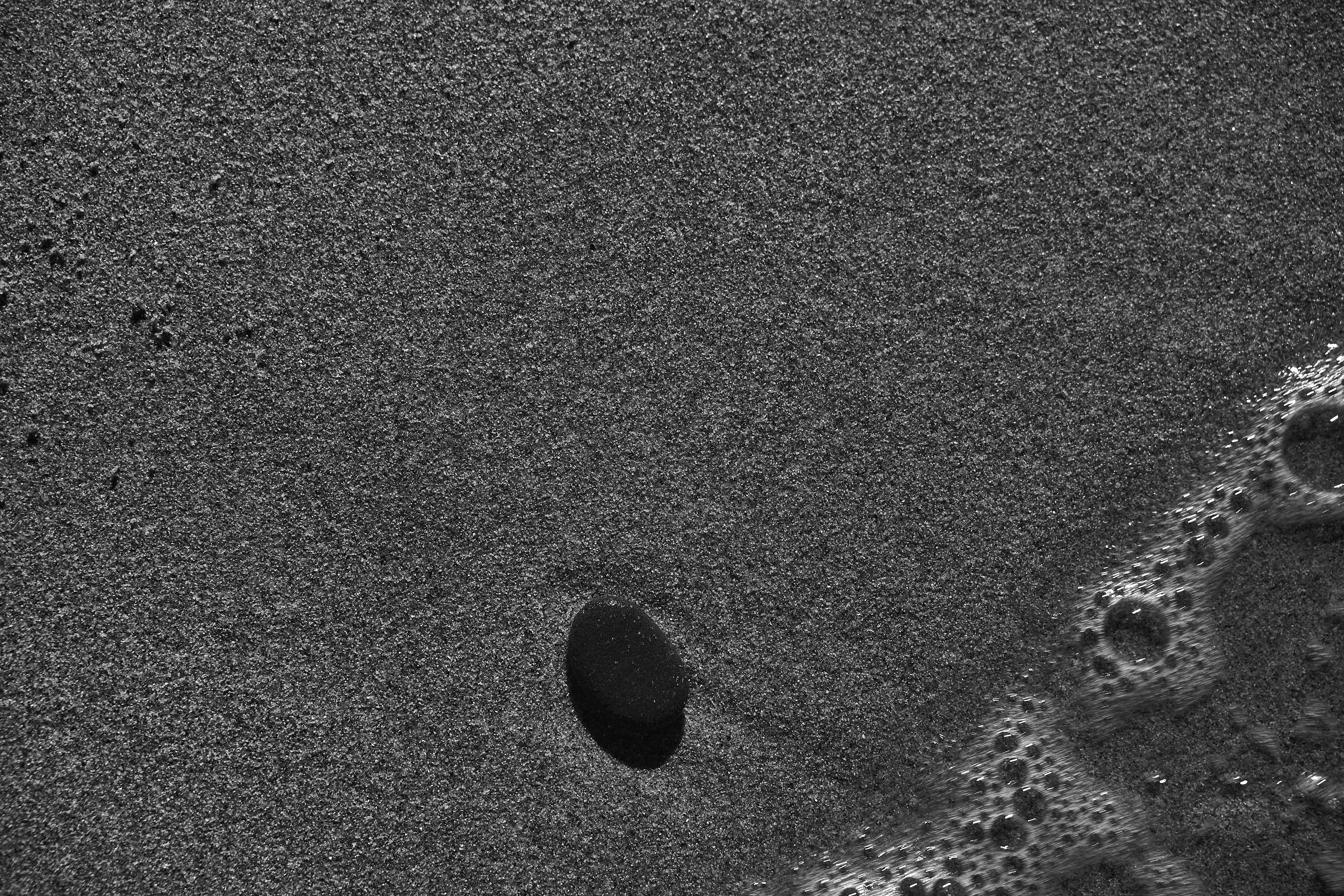 Photo by wolfgang_hasselmann