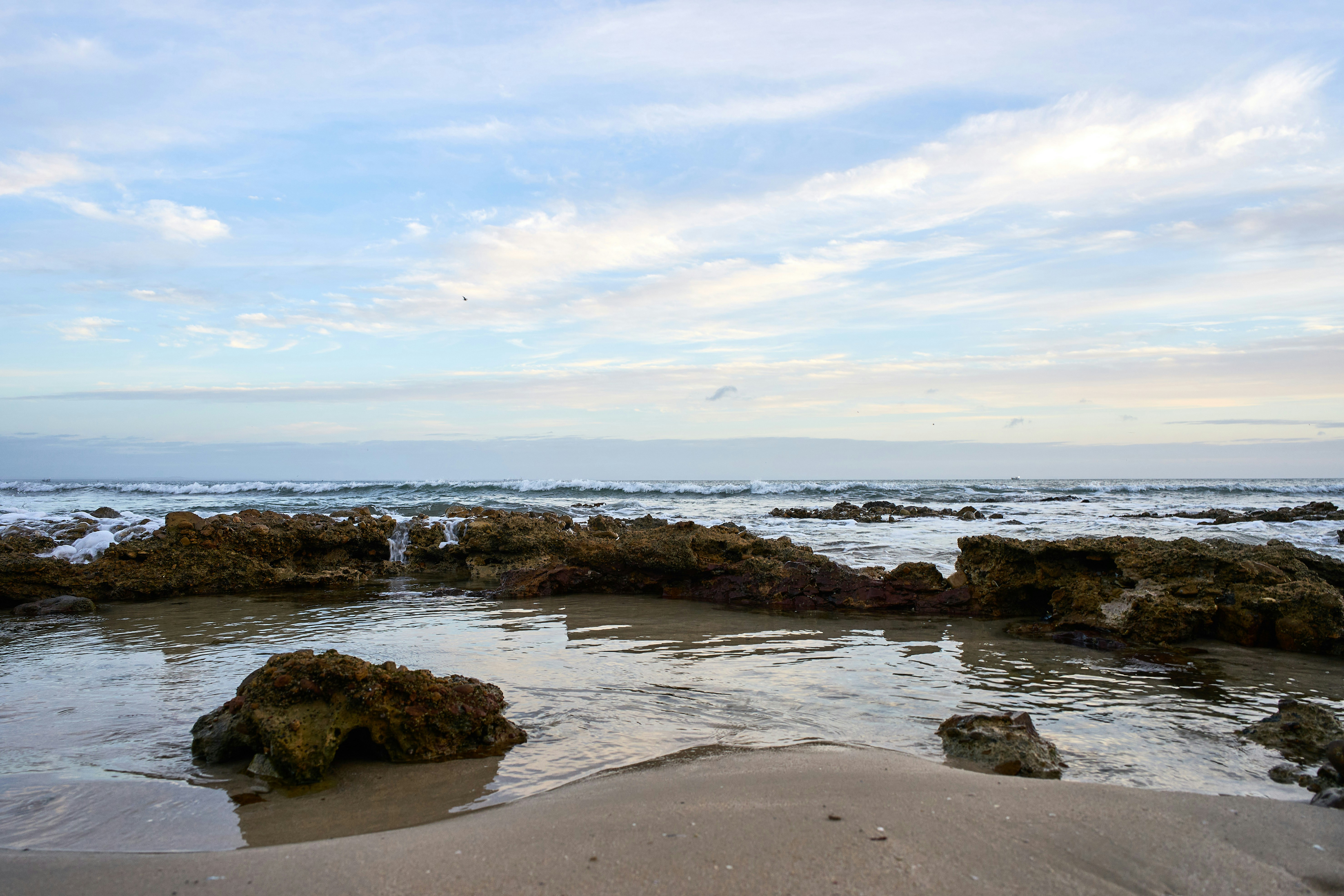 Photo by wolfgang_hasselmann