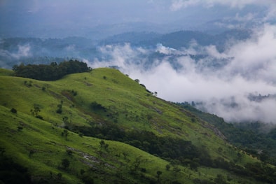 a lush green hillside covered in clouds and trees