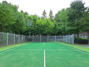 A tennis court surrounded by a metal fence, situated in a lush green area with various trees. The court has a clean, green surface marked with white lines, and there is a pole with lights on the left side. The background is filled with dense foliage, adding a serene and natural ambiance.