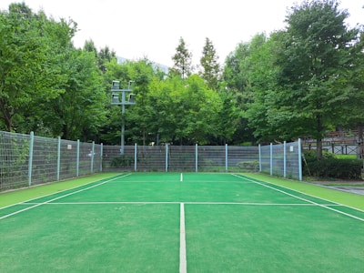 A tennis court surrounded by a metal fence, situated in a lush green area with various trees. The court has a clean, green surface marked with white lines, and there is a pole with lights on the left side. The background is filled with dense foliage, adding a serene and natural ambiance.