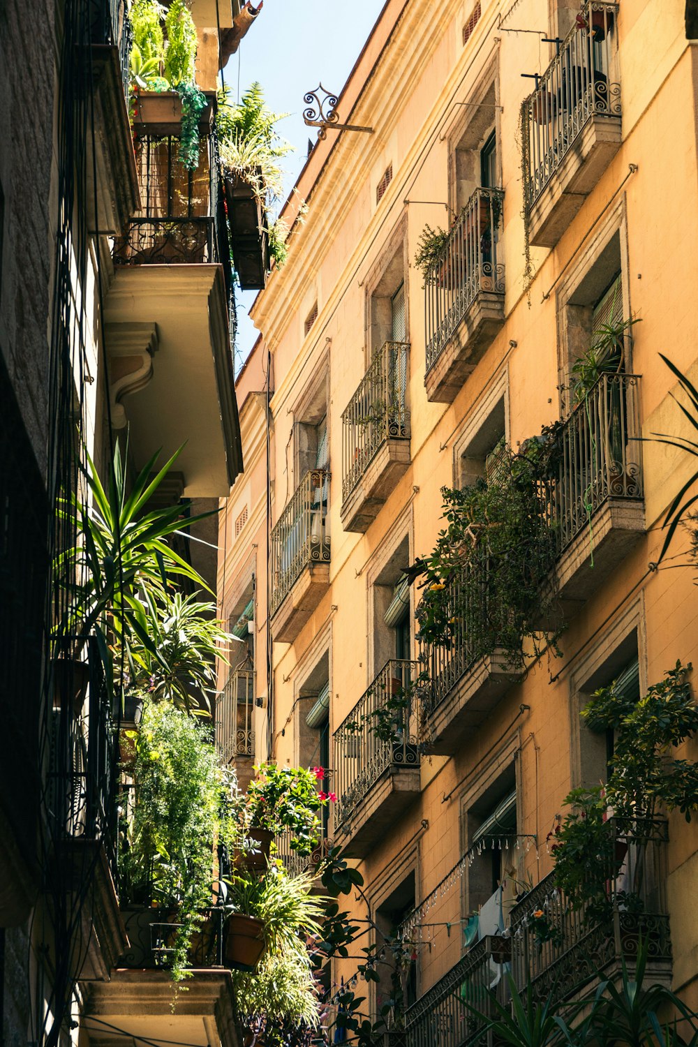 a building with many balconies and plants on the balconies