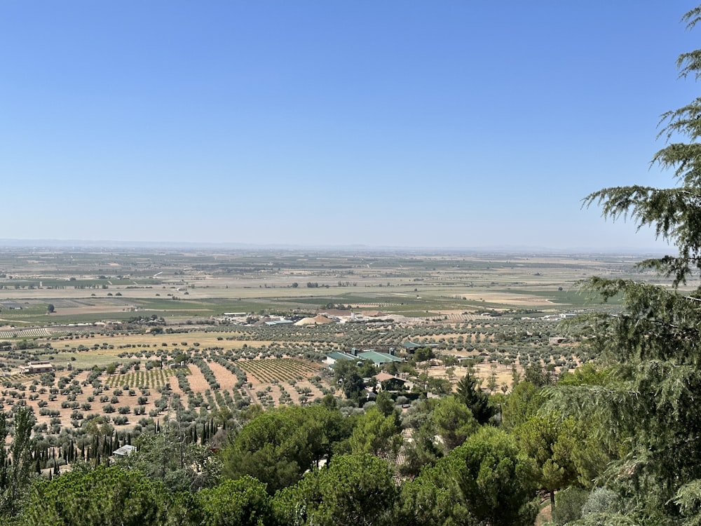a view of a valley with trees and fields in the distance