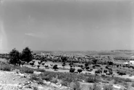 Historic black-and-white photo of Froehlich Farm before it became a preserve.