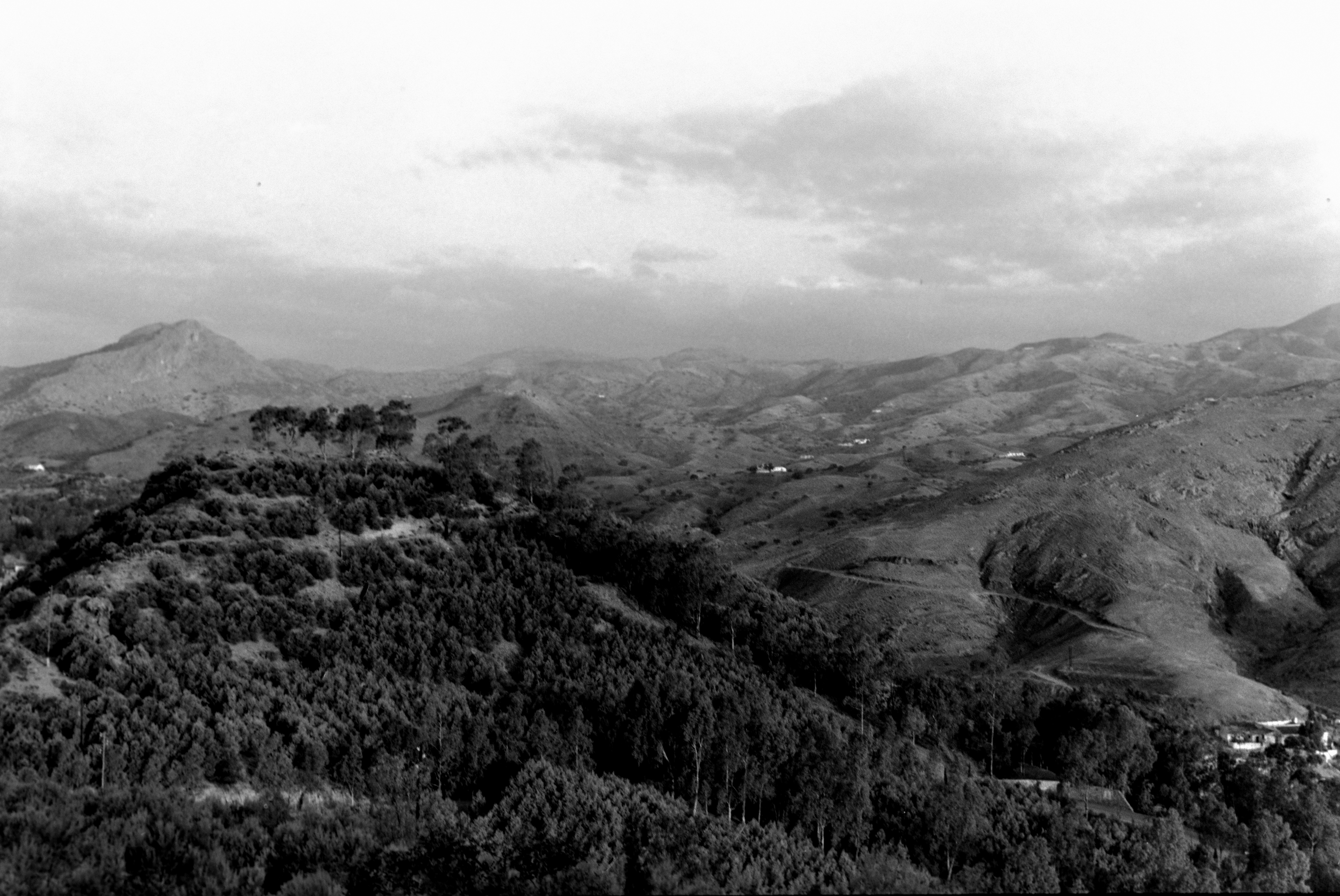 Photo by anniespratt