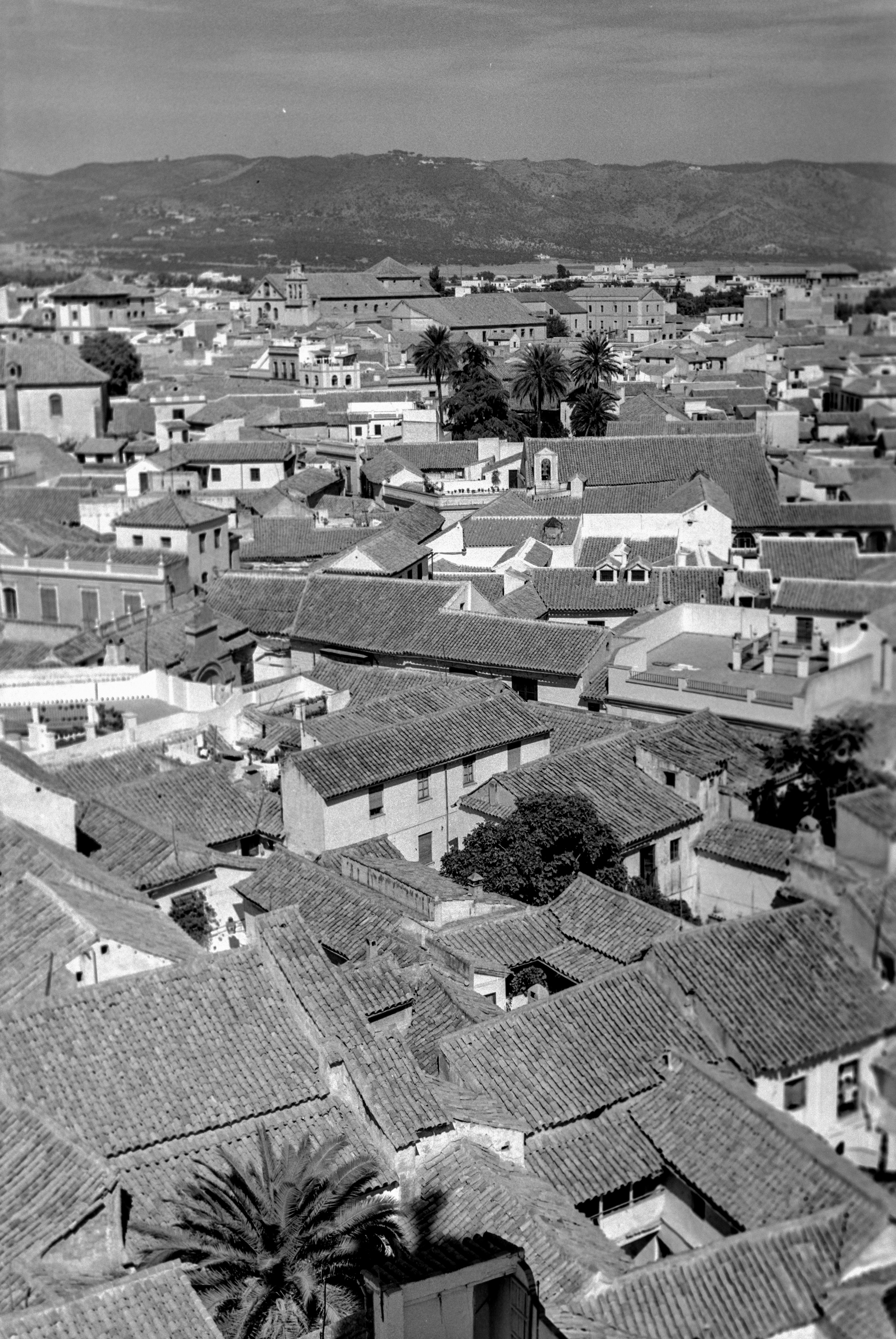 Photo by anniespratt