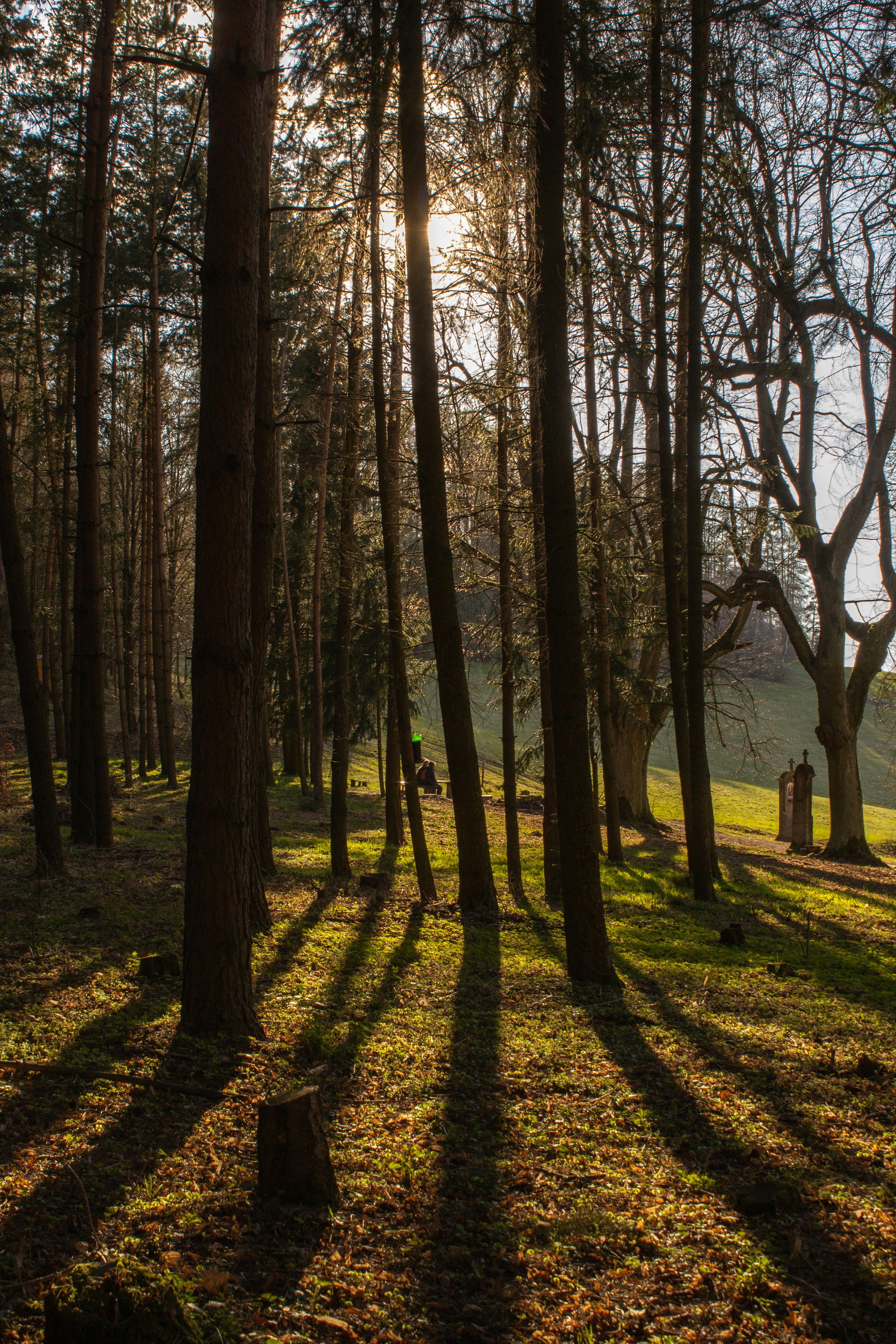 Photo by martinpenicka