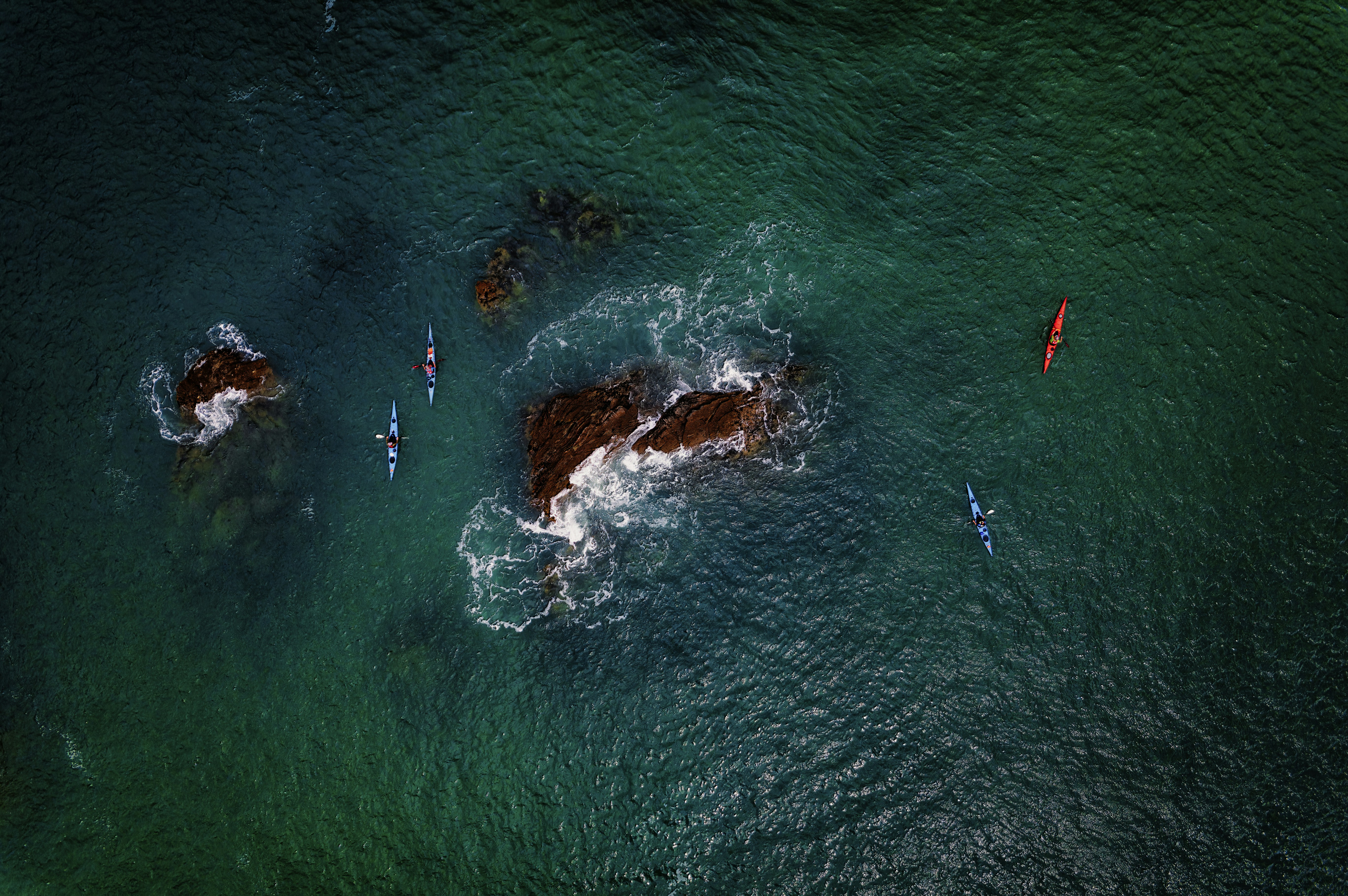 Kayakers spotting whales on a Maui tour