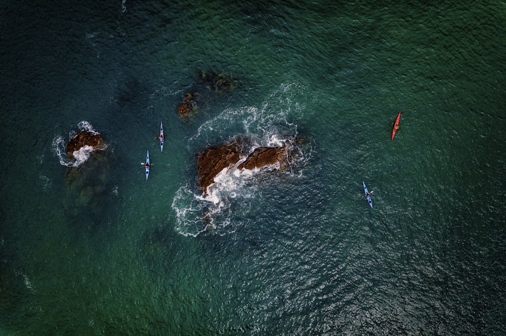 um grupo de pessoas montando pranchas de surf em cima de um corpo de água
