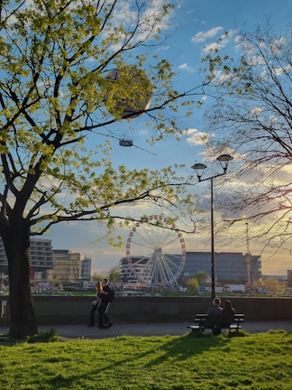 a couple of people sitting on a bench under a tree