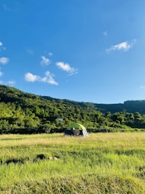 a tent in a field with a mountain in the background