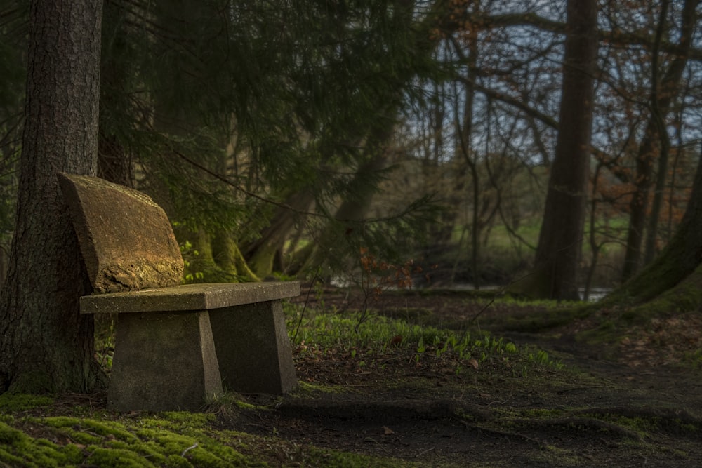 a moss covered bench in the middle of a forest