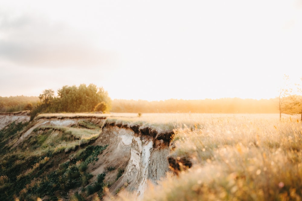 a grassy field with a waterfall in the middle of it