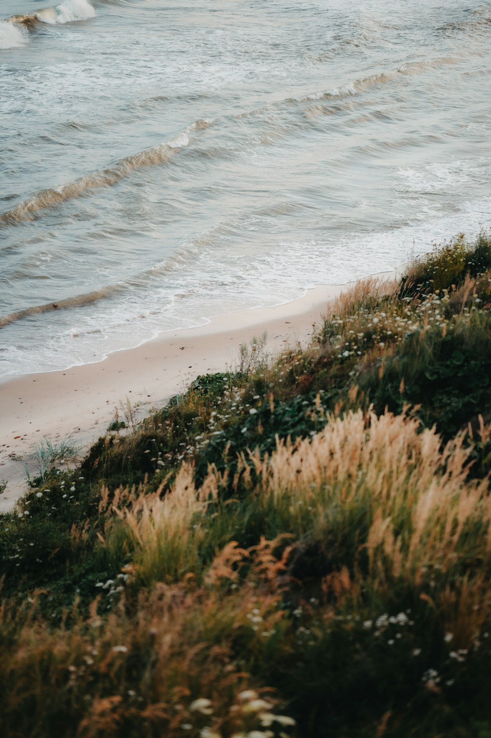 a couple of people walking along a beach next to the ocean