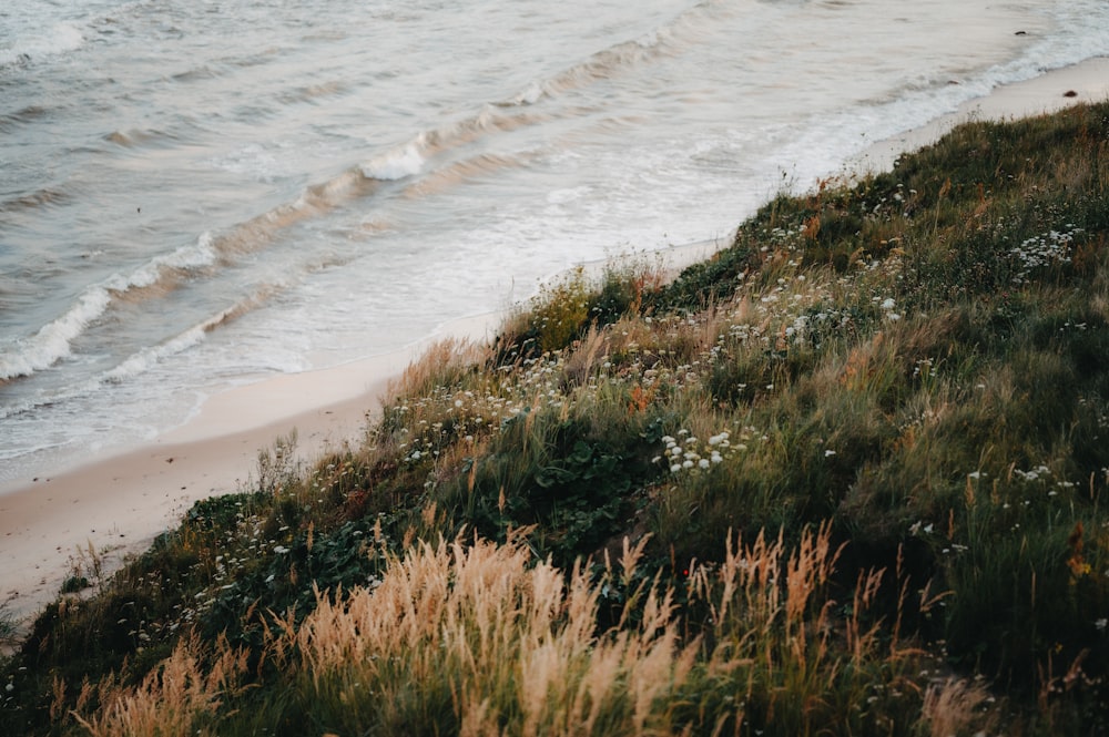 a grassy hill next to the ocean with waves coming in