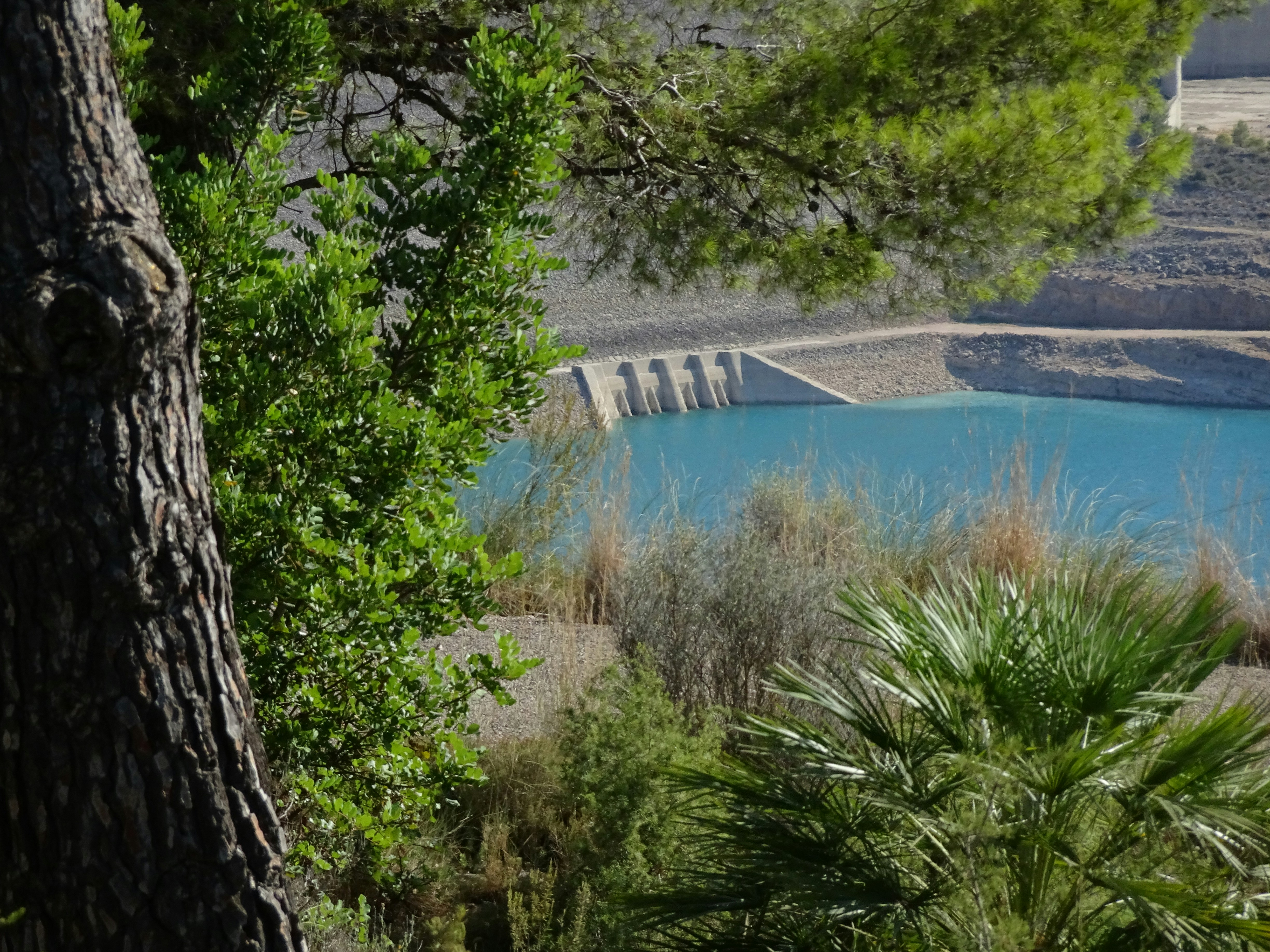 High-income countries waste far more water than low-income ones.