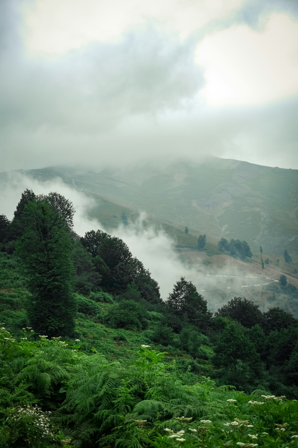 a view of a mountain with clouds and trees