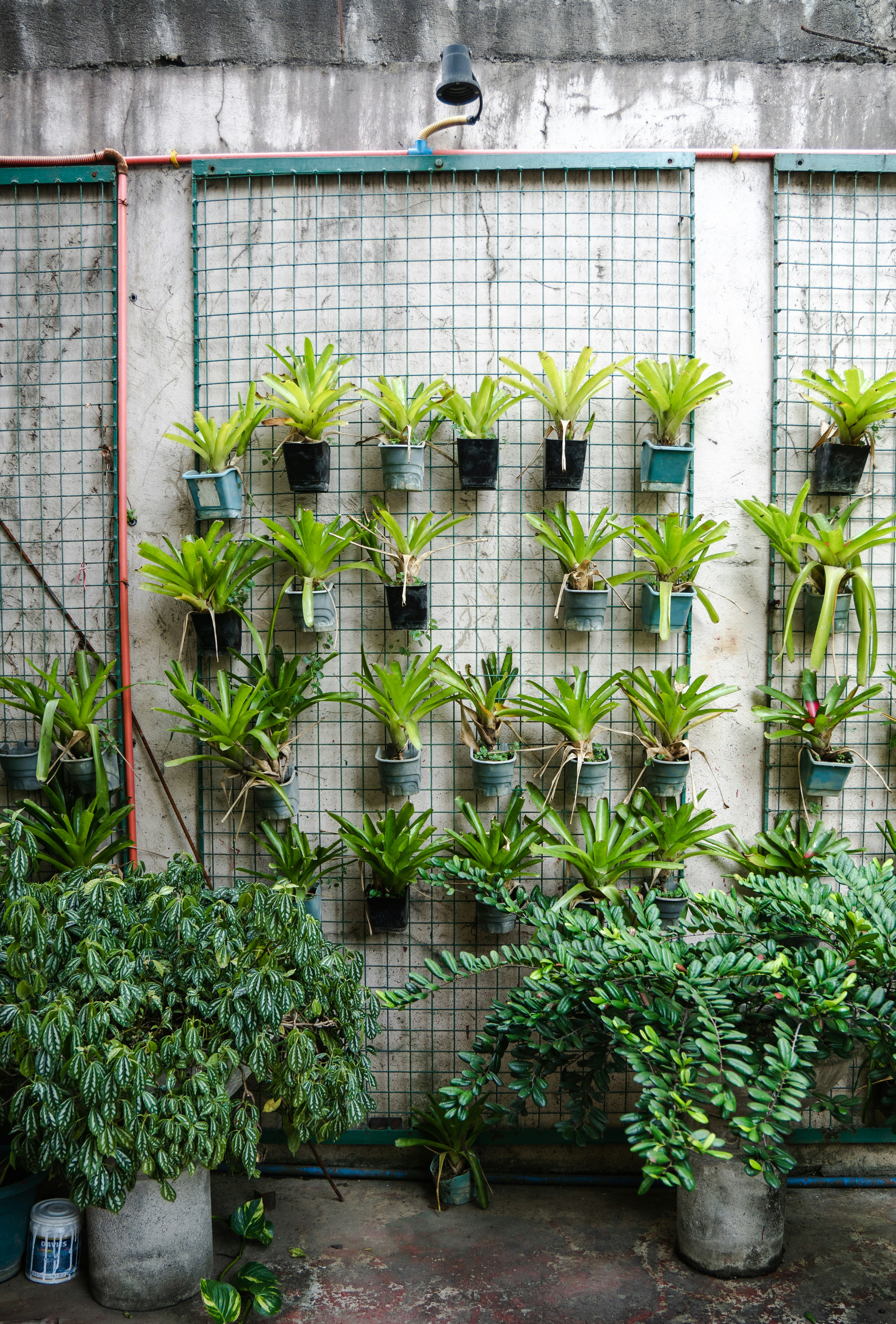 Photo by taylorkeeran