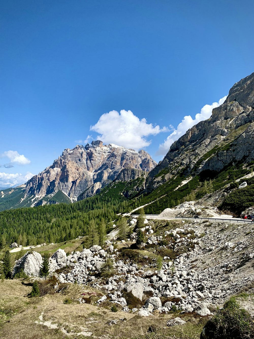 una vista panoramica di una catena montuosa con alberi e rocce