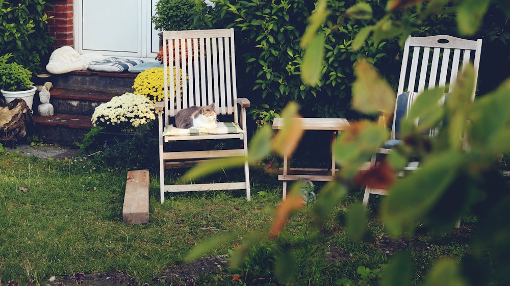 a couple of wooden chairs sitting on top of a lush green field