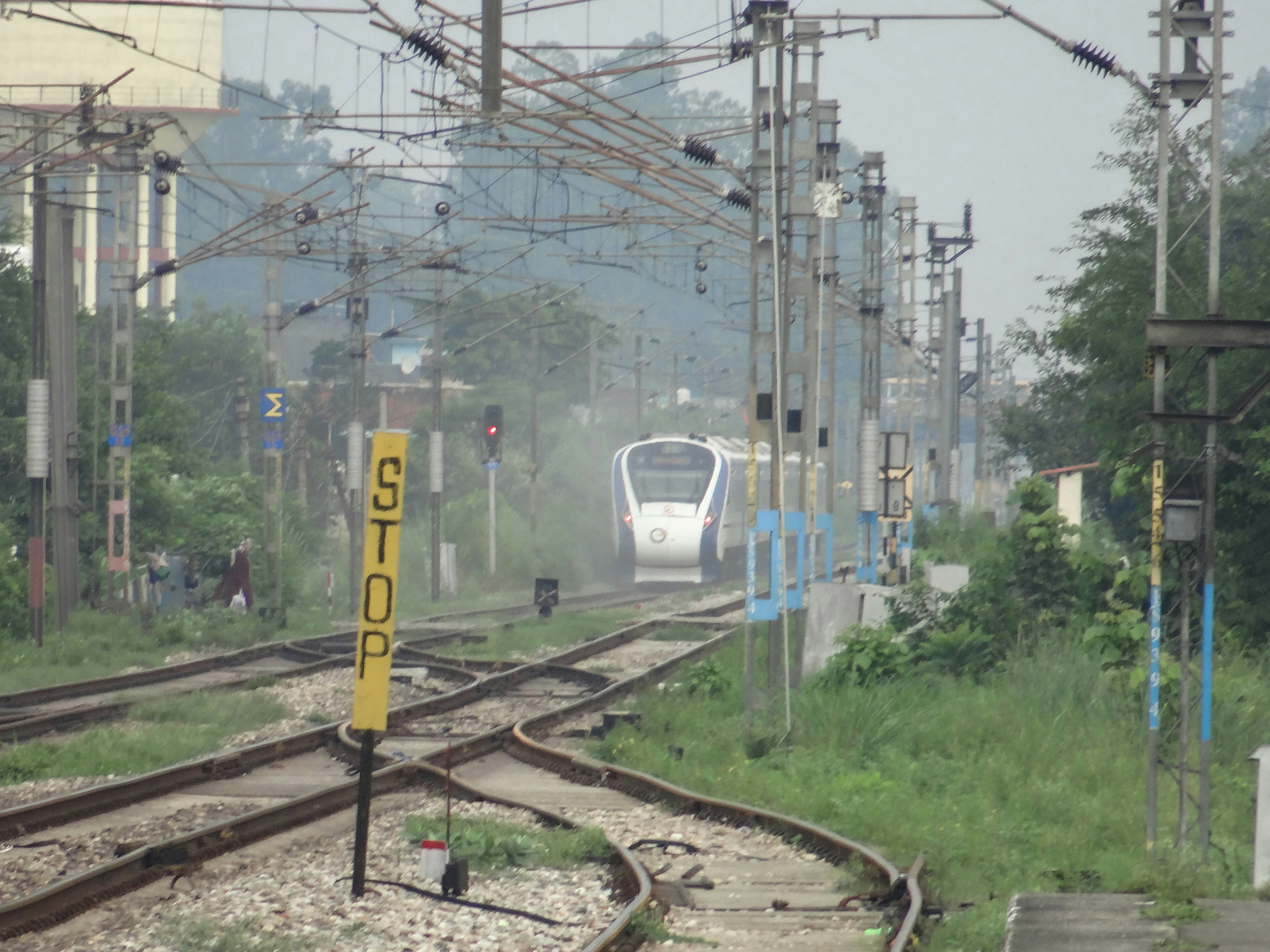 Foto Un tren que viaja por las vías del tren junto a un exuberante ...