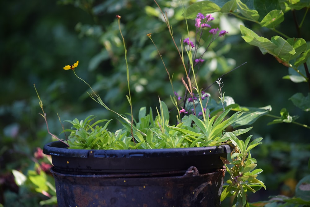 a planter filled with lots of green plants