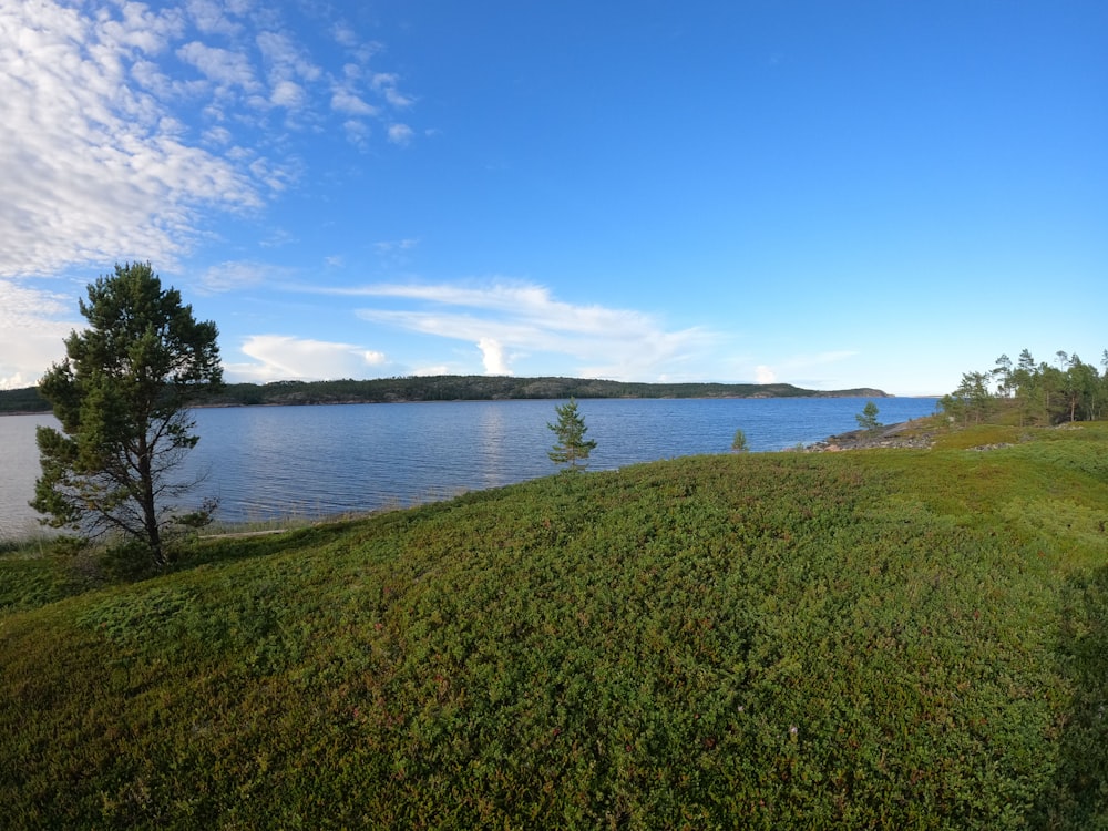 a large body of water sitting next to a lush green hillside