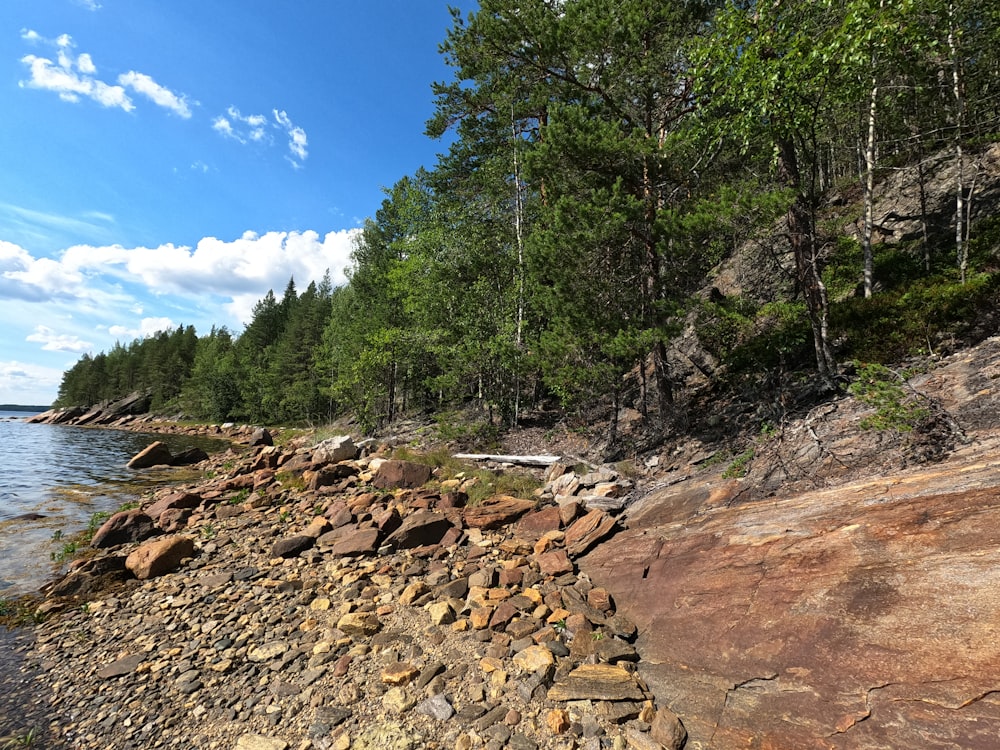 a rocky shore line with trees and water
