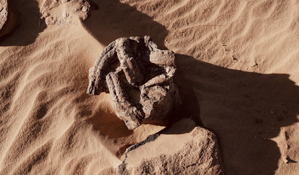 a rock in the middle of a desert