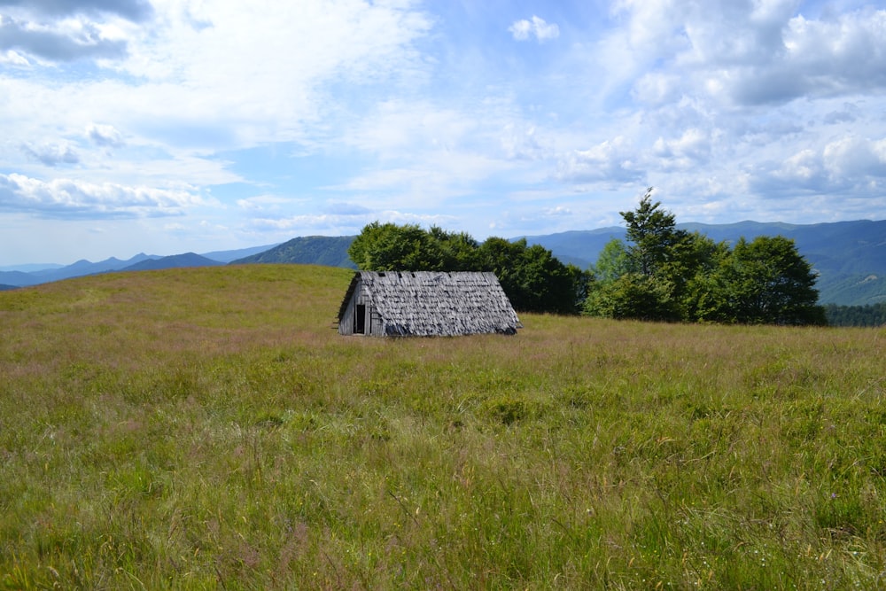 uma pequena casa sentada no topo de uma colina verde exuberante