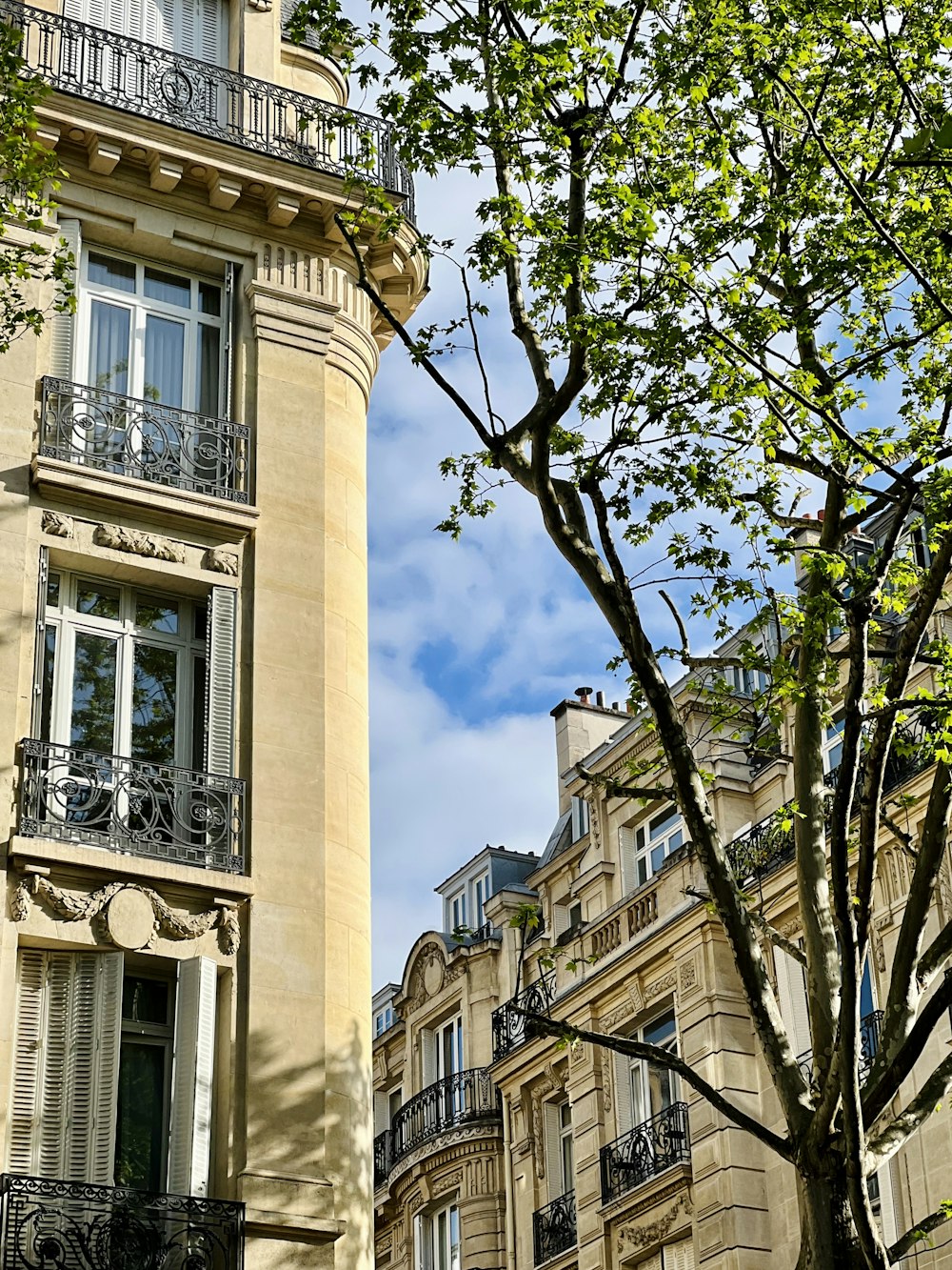 a tall building with balconies next to a tree