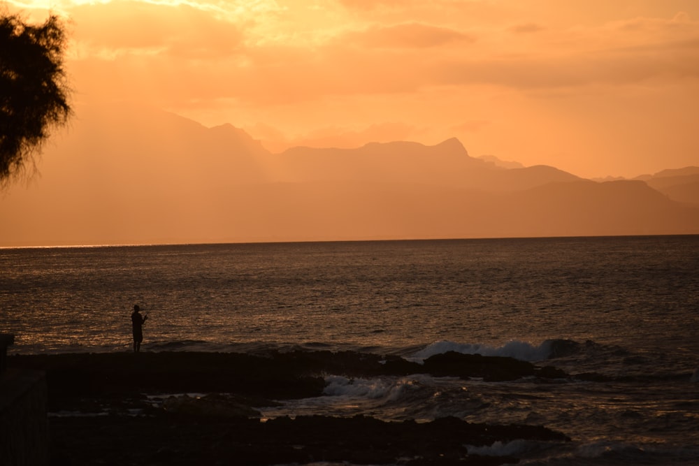 a person standing on the shore of a body of water