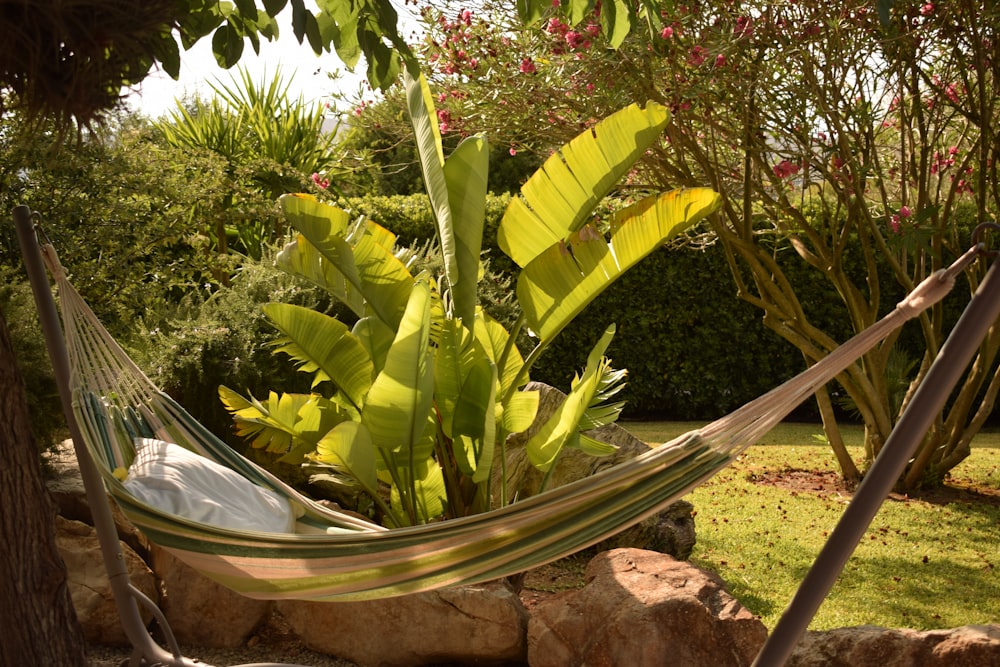 a hammock in the middle of a garden