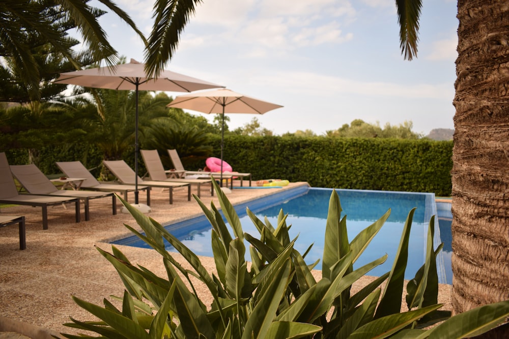 a pool surrounded by lawn chairs and umbrellas