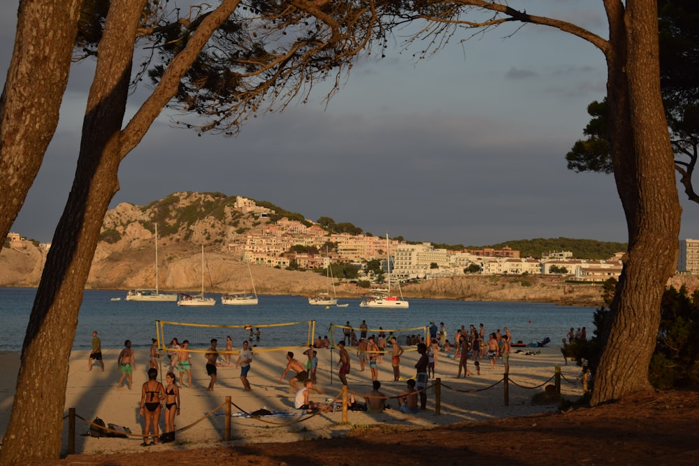 a group of people playing volleyball on a beach