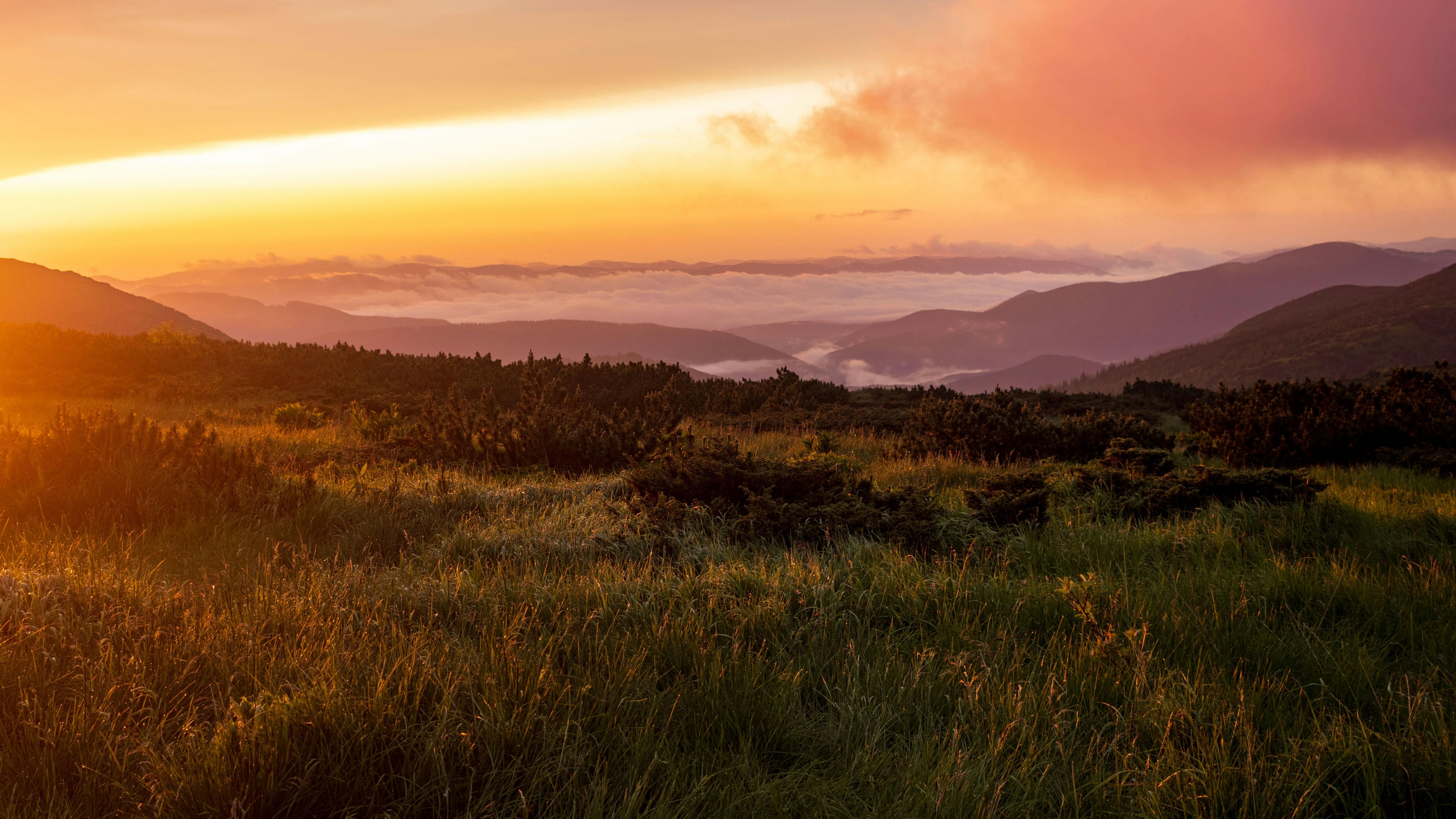 Photo by uin84917798