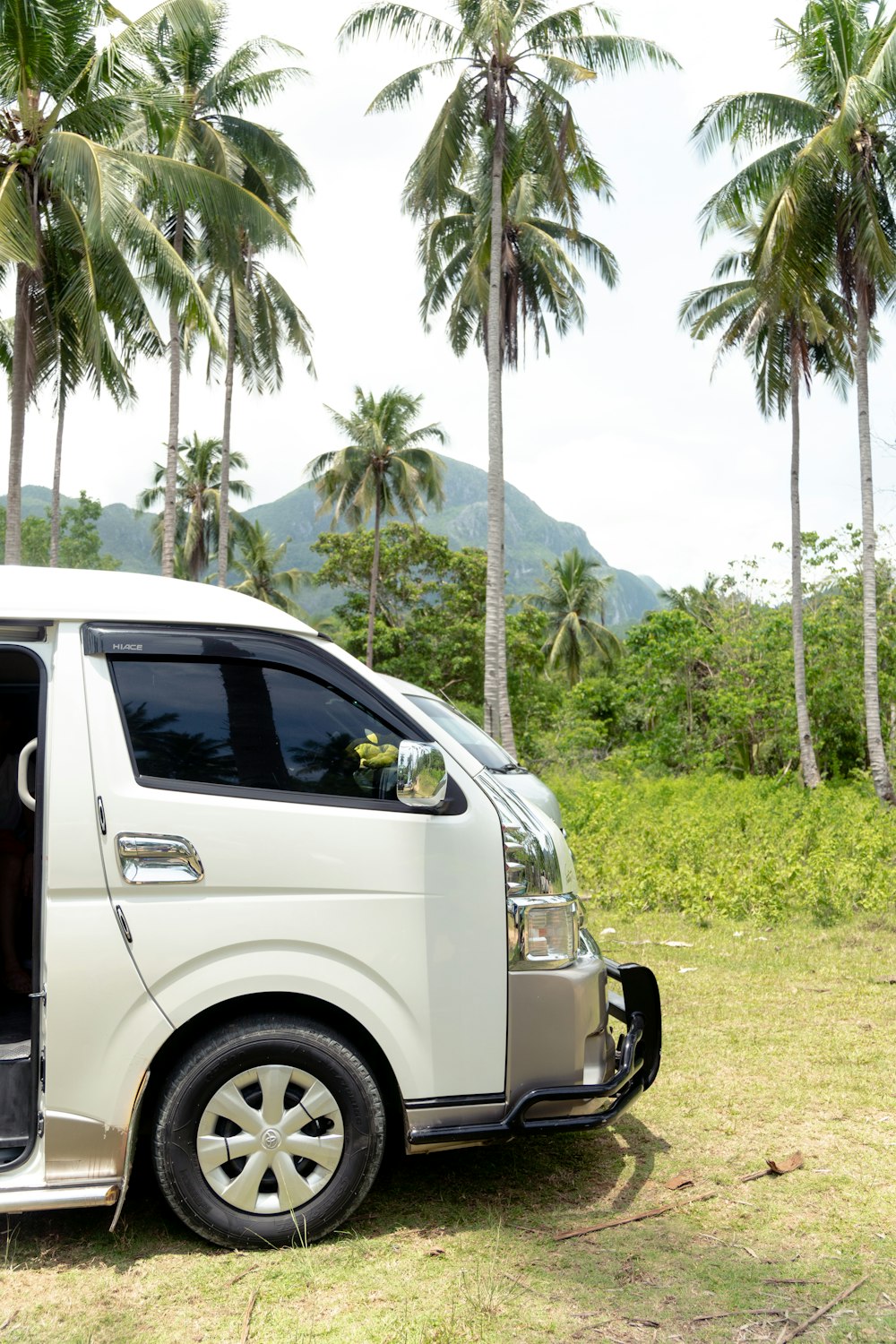 a small white van parked in front of palm trees