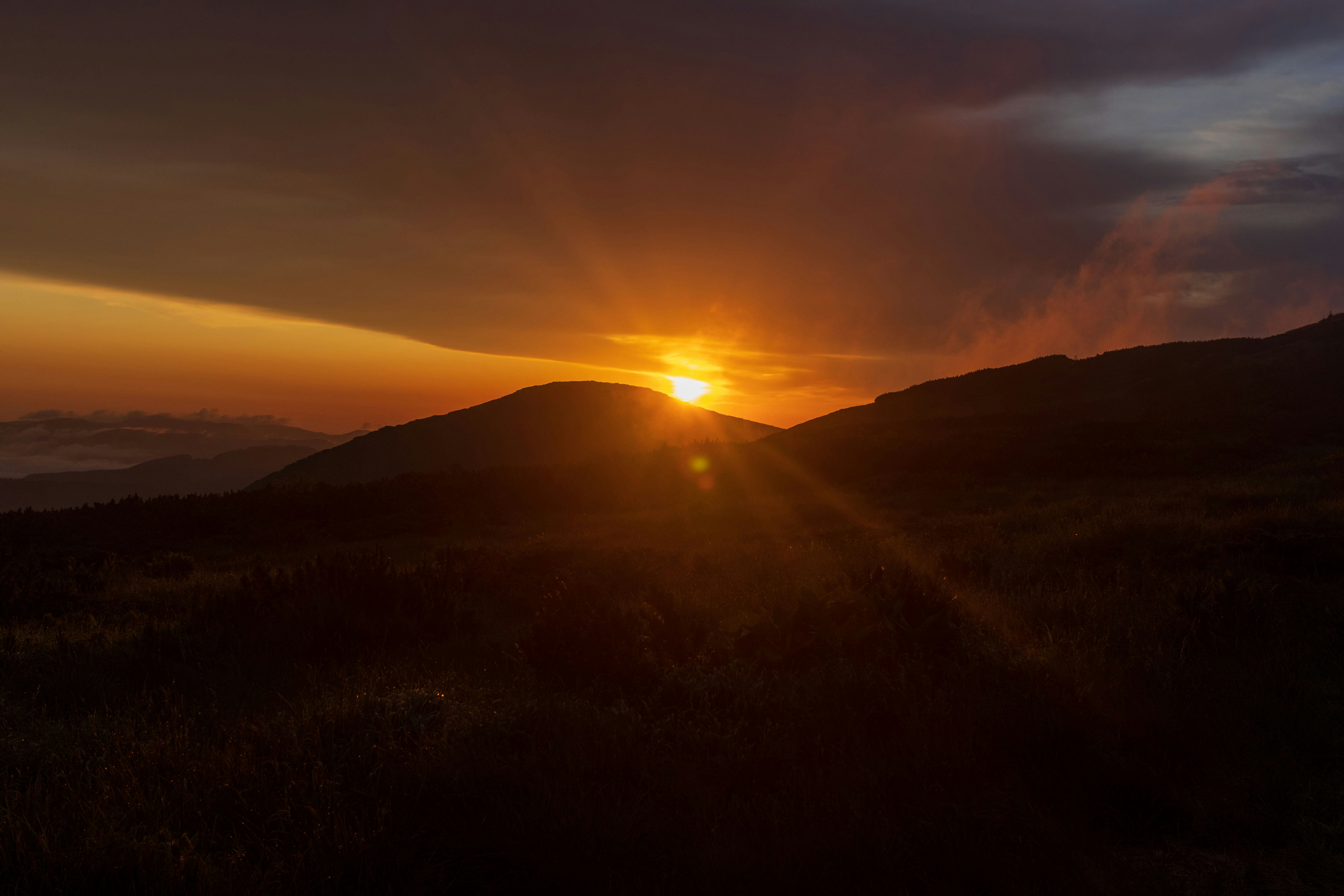 Photo by uin84917798