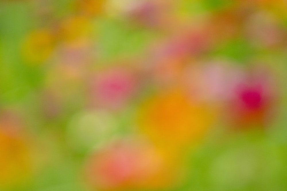 Una foto borrosa de un ramo de flores