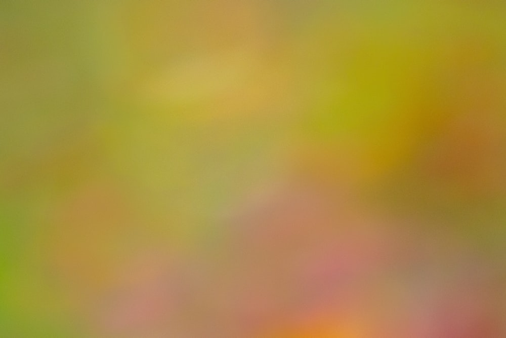 uma imagem borrada de um pássaro sentado em um galho