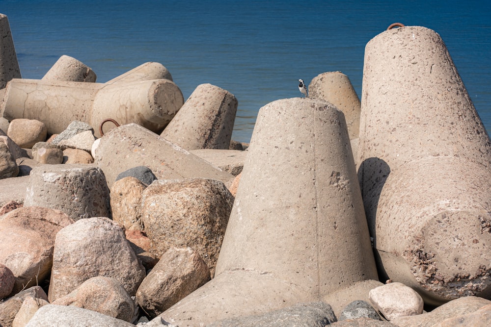 Ein Haufen Steine, der auf einem Strand sitzt