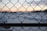 A chain-link fence is visible in the foreground with a blurred snowy landscape and a marina with docks in the background. The sun is setting, casting a warm glow across the sky and creating a contrast with the cold environment.