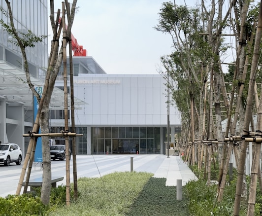 A modern art museum entrance with a white facade is visible in the background. The foreground features a pathway lined with young trees supported by bamboo stakes. A car is parked to the left against the backdrop of the museum's glass windows.