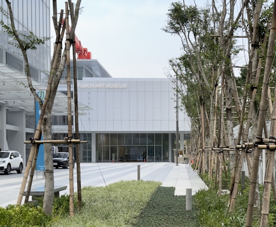 A modern art museum entrance with a white facade is visible in the background. The foreground features a pathway lined with young trees supported by bamboo stakes. A car is parked to the left against the backdrop of the museum's glass windows.