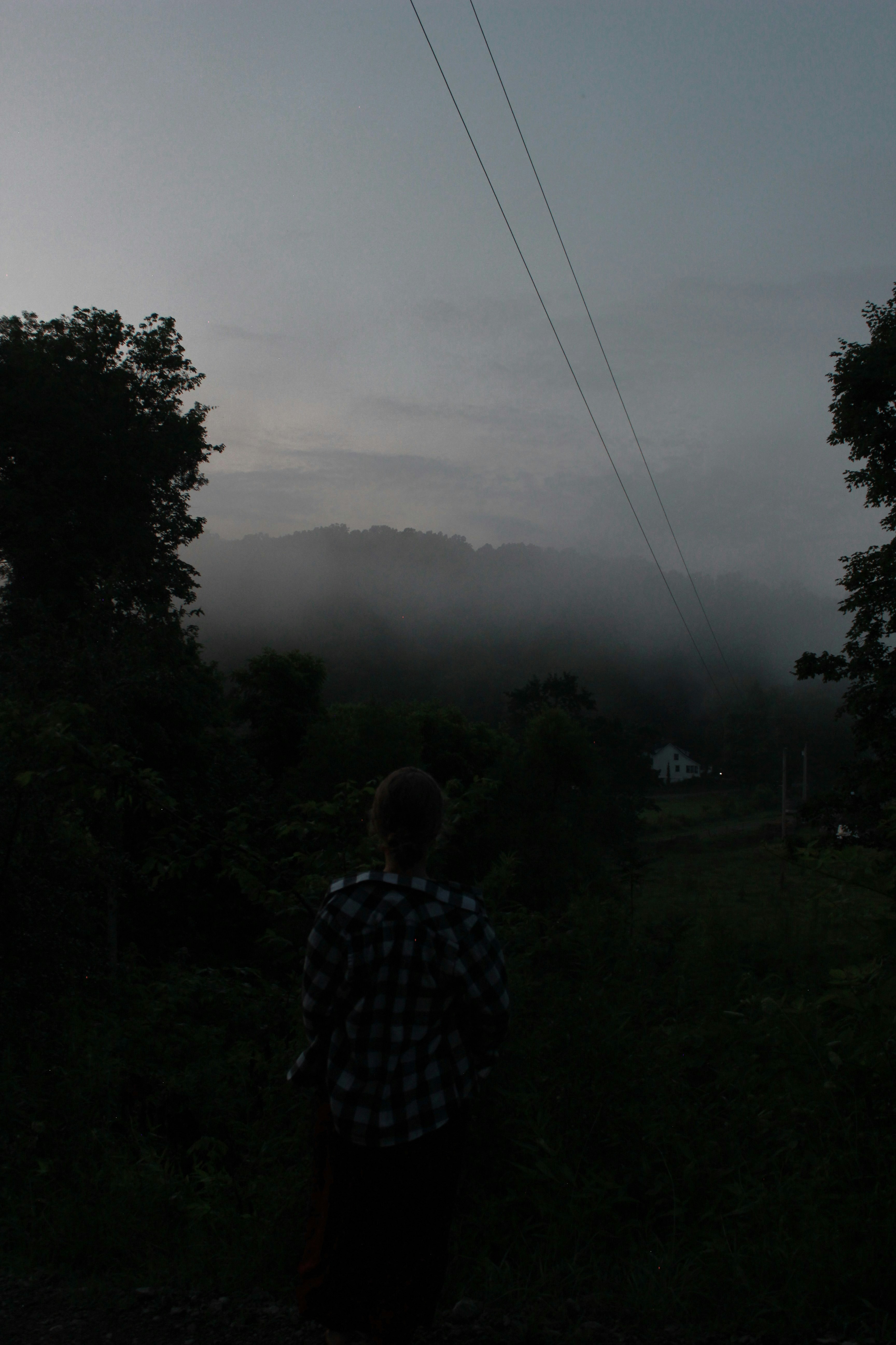 a person standing in a field with a kite in the air