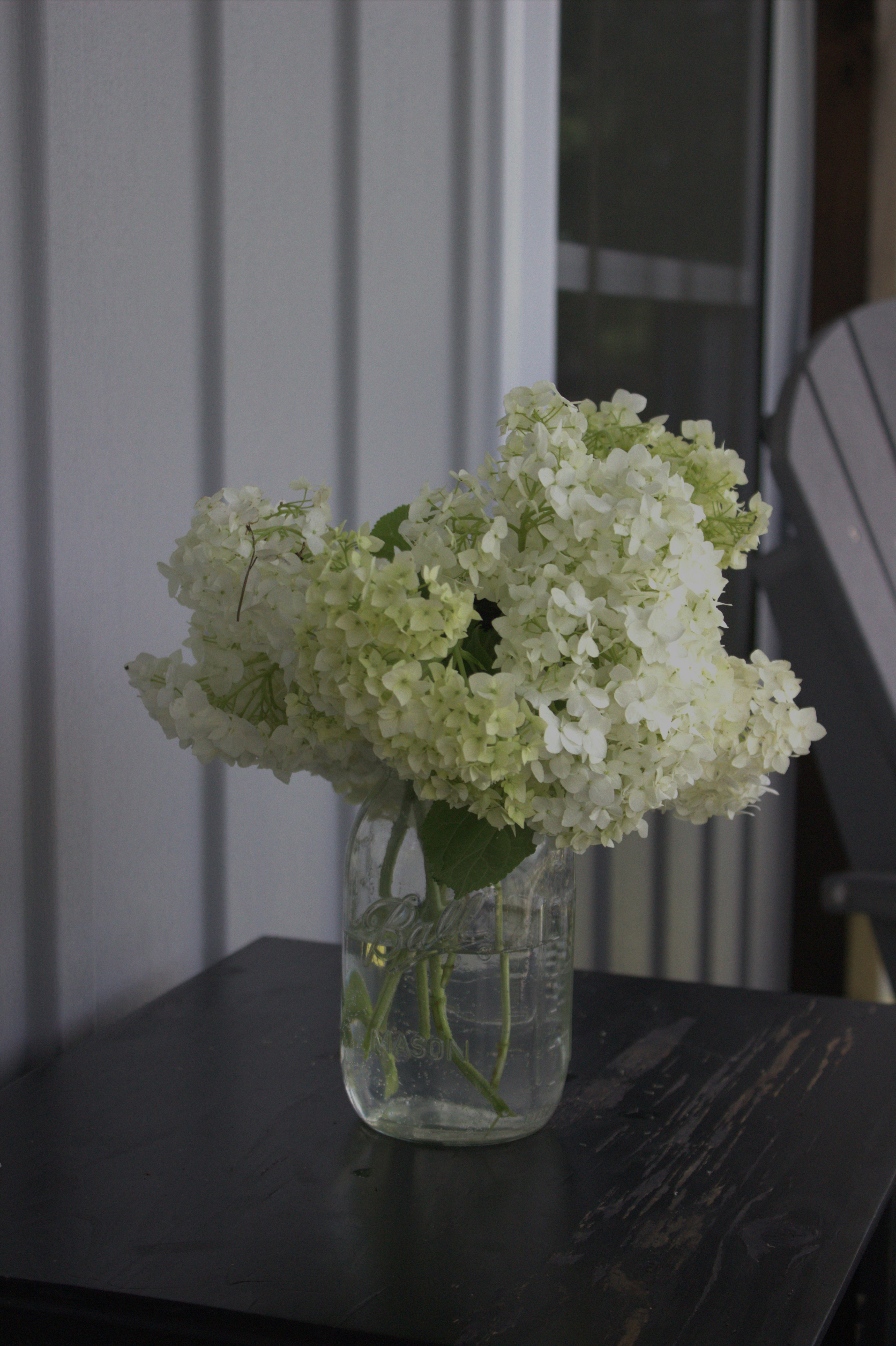 Photo by 2008annamill