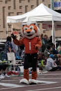 A person in a tiger mascot costume with orange and black stripes and wearing a jersey that says 'BENGALS' with the number 1 is performing in front of a seated crowd. The setting appears to be an outdoor community or sports event with a white tent and people sitting on chairs and blankets in the background.